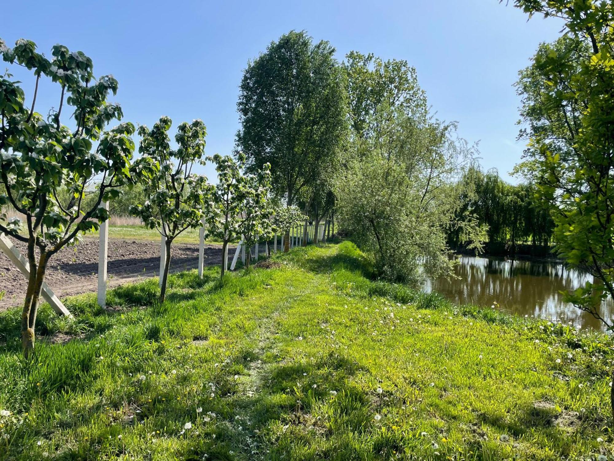 Álmosdi Tópart Vendégház Almosd Exterior foto